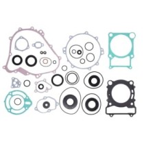 Set garnituri complet, motor WINDEROSA