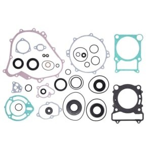 Set garnituri complet, motor WINDEROSA