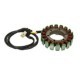 Stator de alternator ARROWHEAD pentru HONDA CBR 900 1996-1999