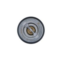 Termostat,lichid racire NRF