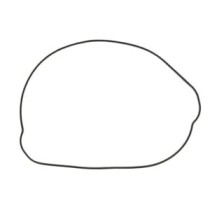 Garnitura capac ambreiaj WINDEROSA