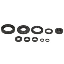 Set garnituri pentru motor WINDEROSA