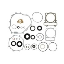 Set garnituri complet, motor WINDEROSA