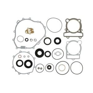 Set garnituri complet, motor WINDEROSA