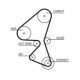 Set curea de distributie GATES pentru DS 3, DS 4, DS 5; CITROEN BERLINGO, C3, C3 AIRCROSS II, C3 PICASSO 1.2-1.6D 04.08, 20.0 mm, 1343.0 mm, 141 dinti