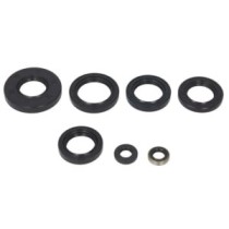 Set garnituri pentru motor WINDEROSA