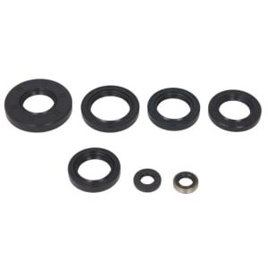 Set garnituri pentru motor WINDEROSA