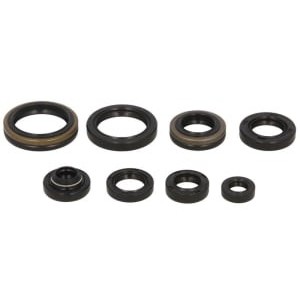 Set garnituri pentru motor WINDEROSA