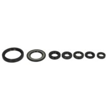 Set garnituri pentru motor WINDEROSA