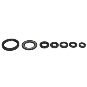 Set garnituri pentru motor WINDEROSA