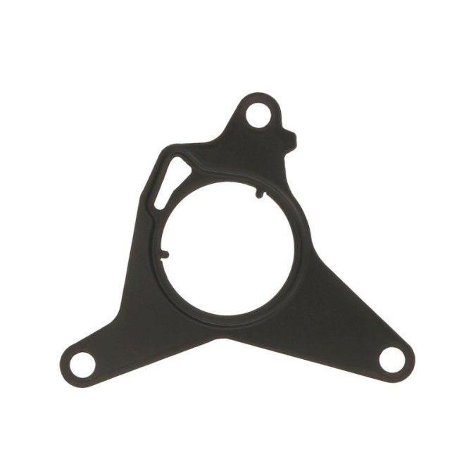 Garnitura, pompa vacuum AJUSA