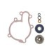 Set reparatie pompa apa WINDEROSA Sistem racire Kit reparatie pompa apa Piesa 0,06 kg Eticheta printabila W821876