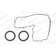 Set garnituri Capac supape PAYEN pentru CITROEN C-CROSSER C5 II C5 III C6 C8 FIAT ULYSSE FORD GALAXY II MONDEO IV JAGUAR XF I