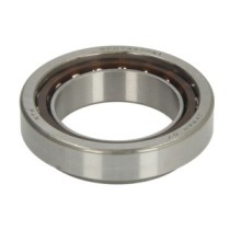 Rulment cap de şasiu RMS