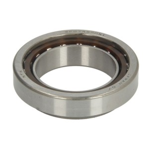 Rulment cap de şasiu RMS