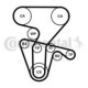 Set pompa apa + curea dintata CONTITECH pentru ALFA ROMEO 147, 156, GT, GTV, SPIDER; FIAT COUPE; LANCIA DEDRA, DELTA II, LYBRA 1.8/2.0