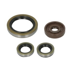 Set garnituri pentru motor WINDEROSA