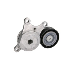 Rola intinzator,curea transmisie SKF