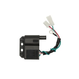 Bobina de inductie RMS