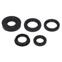 Set garnituri pentru motor WINDEROSA