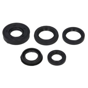 Set garnituri pentru motor WINDEROSA