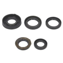 Set garnituri pentru motor WINDEROSA