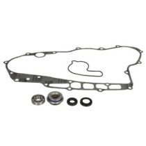 Set reparatie, pompa apa WINDEROSA