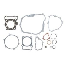 Set garnituri complet, motor WINDEROSA