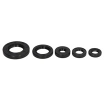 Set garnituri pentru motor WINDEROSA