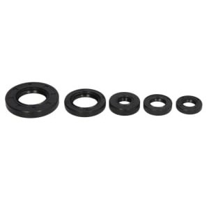 Set garnituri pentru motor WINDEROSA