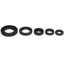 Set garnituri pentru motor WINDEROSA