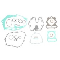 Set garnituri complet, motor WINDEROSA