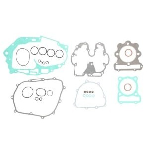 Set garnituri complet, motor WINDEROSA