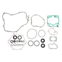 Set garnituri complet, motor WINDEROSA