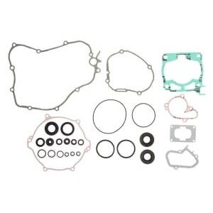 Set garnituri complet, motor WINDEROSA