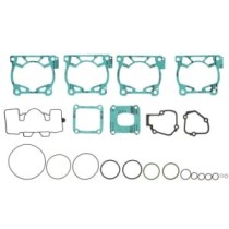 Set garnituri, chiulasa WINDEROSA