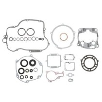 Set garnituri complet, motor WINDEROSA