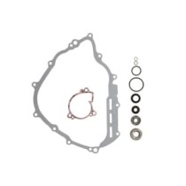 Set reparatie, pompa apa WINDEROSA