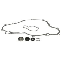 Set reparatie, pompa apa WINDEROSA