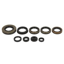 Set garnituri pentru motor WINDEROSA