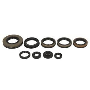 Set garnituri pentru motor WINDEROSA