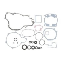 Set garnituri complet, motor WINDEROSA