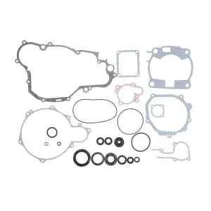 Set garnituri complet, motor WINDEROSA