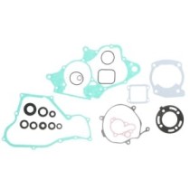 Set garnituri complet, motor WINDEROSA