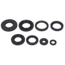 Set garnituri pentru motor WINDEROSA