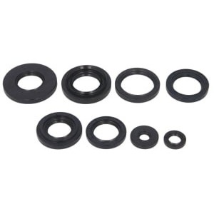 Set garnituri pentru motor WINDEROSA