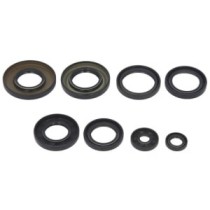 Set garnituri pentru motor WINDEROSA