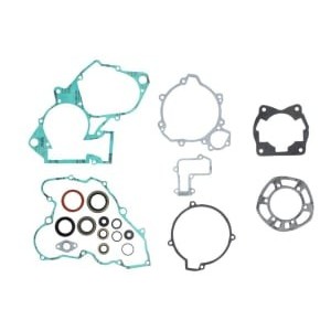 Set garnituri complet, motor WINDEROSA