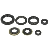 Set garnituri pentru motor WINDEROSA