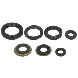 Set garnituri pentru motor WINDEROSA